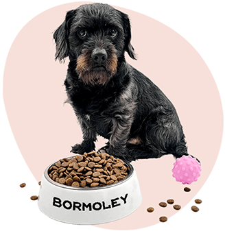 Misky a Šátky pro psa či kočku s potiskem